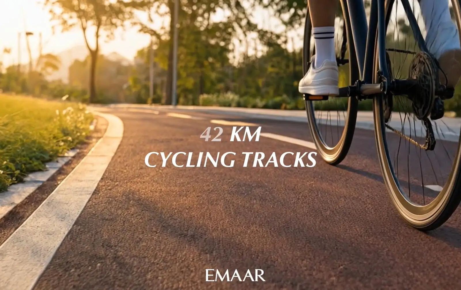 Cycling track at sunrise